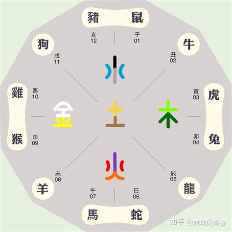 十二生肖八卦|八卦对应的五行属性表 八卦对应的五行属性表图